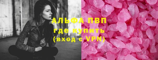 гидра Богданович