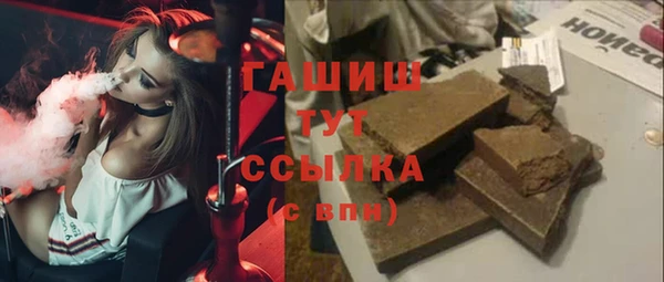 гидра Богданович