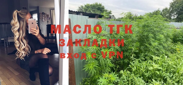 гидра Богданович
