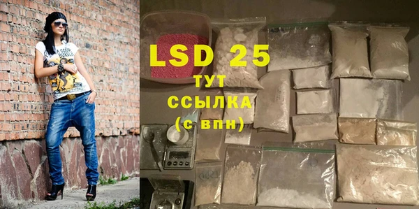 ПСИЛОЦИБИНОВЫЕ ГРИБЫ Верхний Тагил