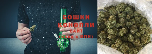 гидра Богданович