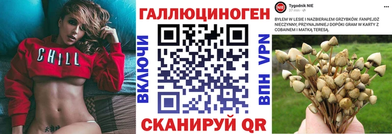 Галлюциногенные грибы MAGIC MUSHROOMS где купить наркоту Видное